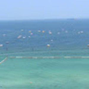 Meet your Posher, Patty